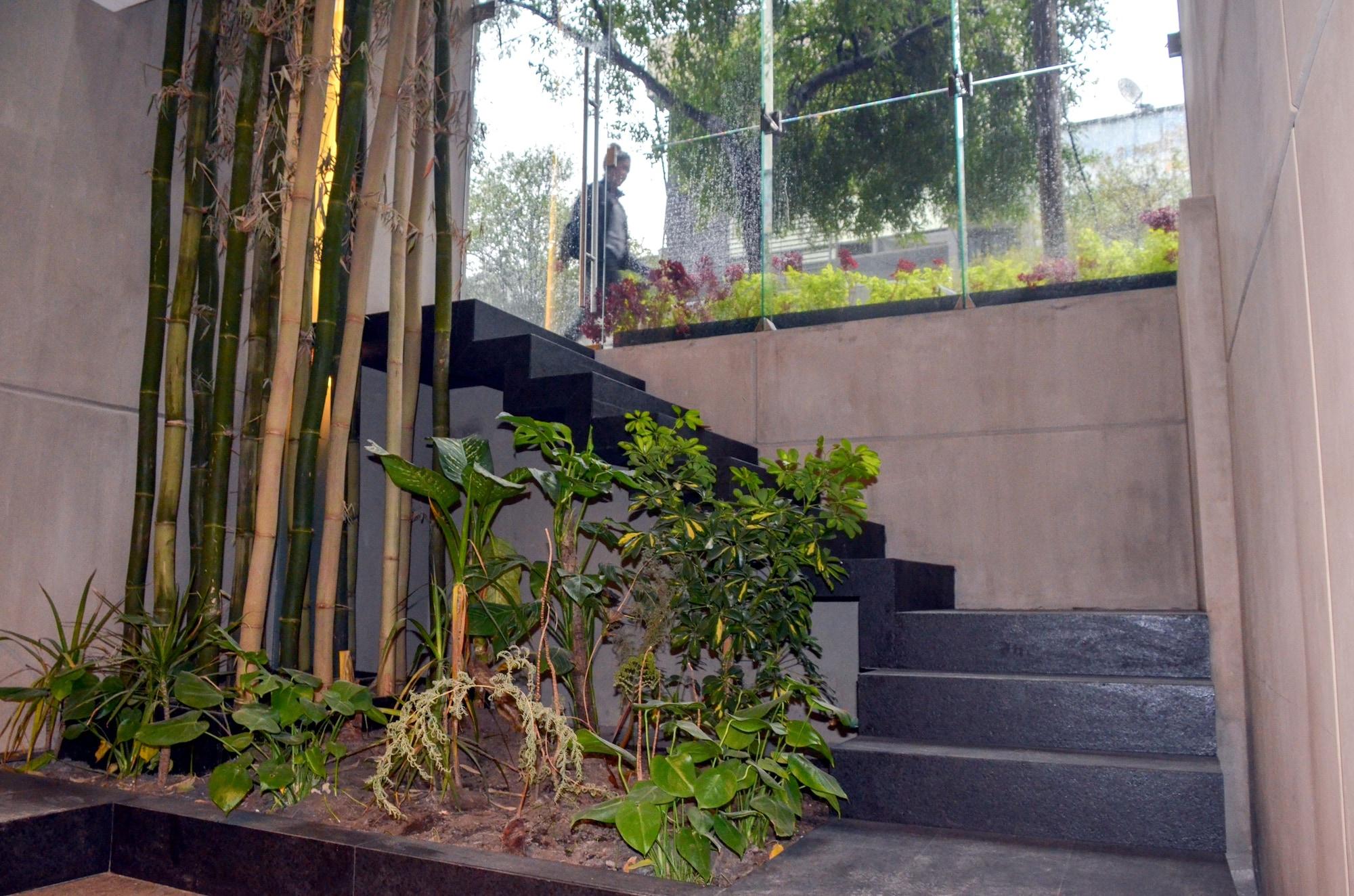 Hotel Armonik By Casanevo México DF